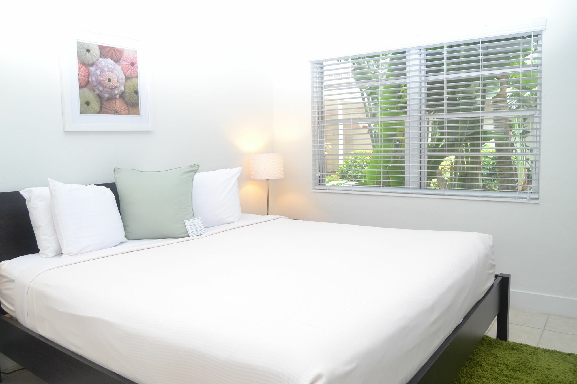 Solas A North Beach Village Resort Hotel Fort Lauderdale Zewnętrze zdjęcie